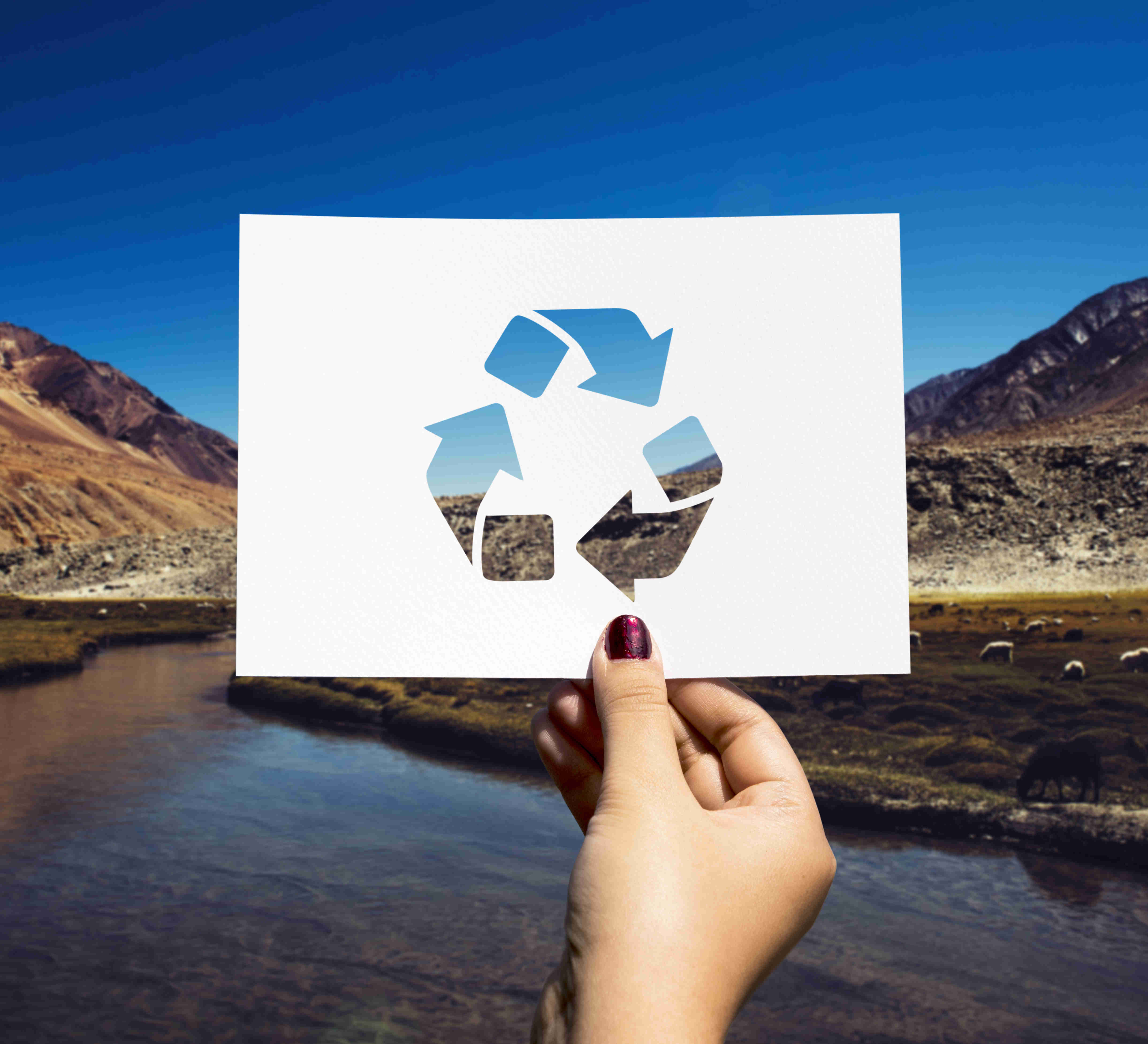 Image of TECHNOLOGY PRINCIPLES